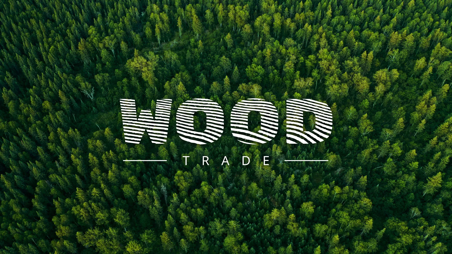 Разработка интернет-магазина компании «Wood Trade» в Суровикино